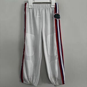 Fast Asleep University of Florida Gators Athletic Pants